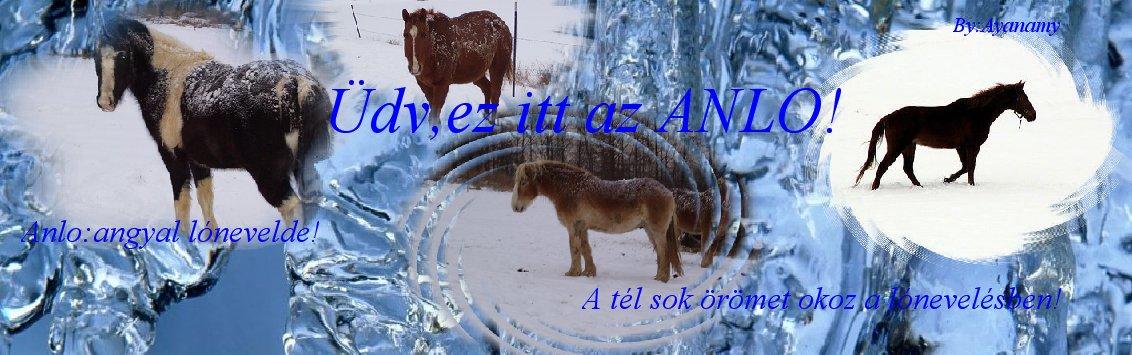 ♥ANLO/Angyal-lnevelde♥®